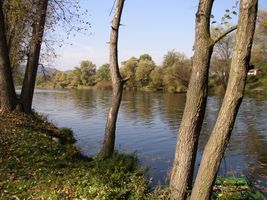 Berounka 2-Zadní Třebáň 19.10.05 (1).jpg